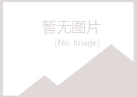 龙泉夏岚金属有限公司